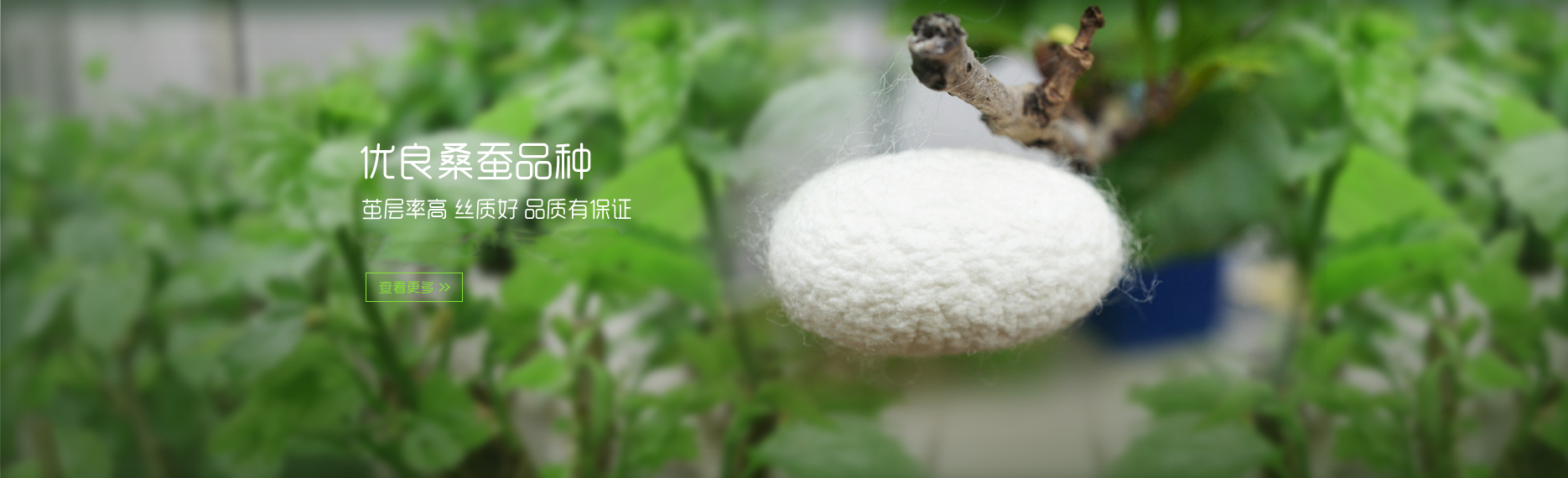 電腦幻燈片
