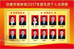 2017年度優(yōu)秀員工