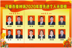 安康市蠶種場(chǎng)2020年度先進(jìn)個(gè)人光榮榜
