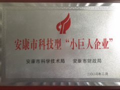 安康市科技型“小巨人企業(yè)”
