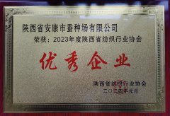 2023年度陜西省紡織行業(yè)協(xié)會(huì)優(yōu)秀企業(yè)
